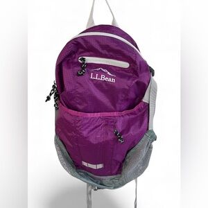 L.L. Bean Vibrant Purple Backpack
